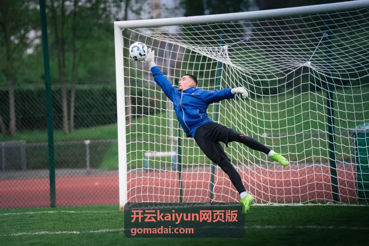 开云kaiyun网页版登录入口相关图示